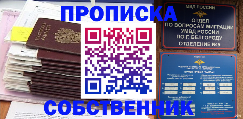 прописка законно в Луге